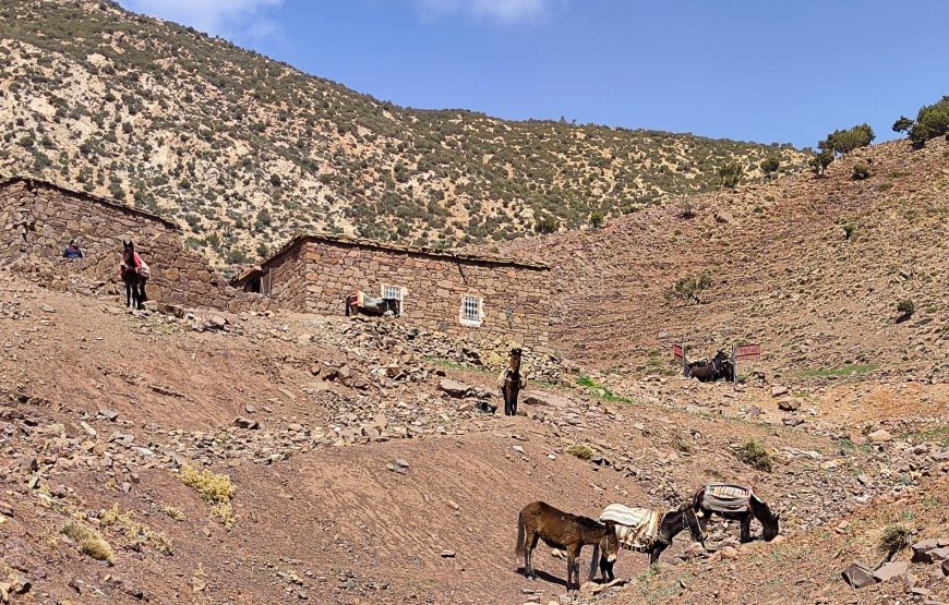 Der Anti-Atlas und der Zauber der Sahara (Nr. FG-007)