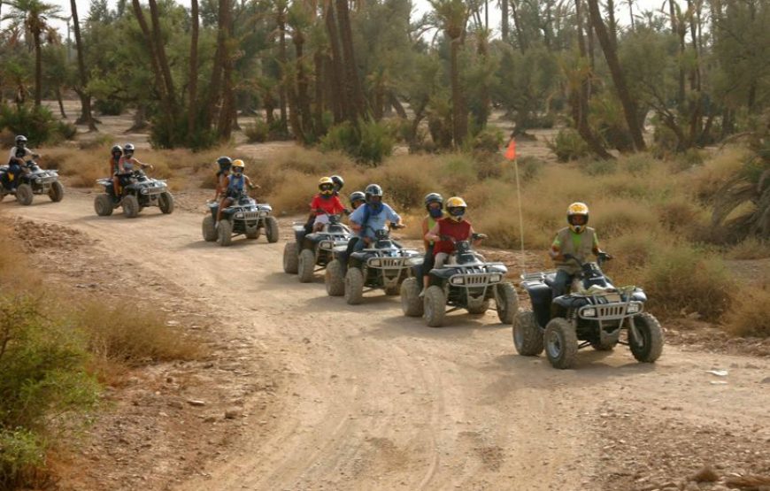 Wüstentour – Quad & Kamelritt