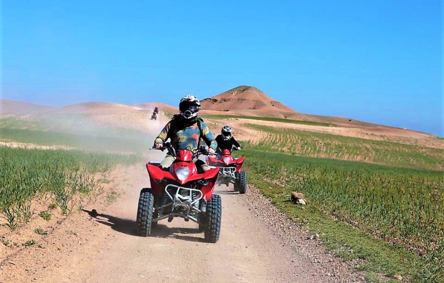 Wüstentour – Quad & Kamelritt