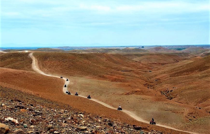 Wüstentour – Quad & Kamelritt