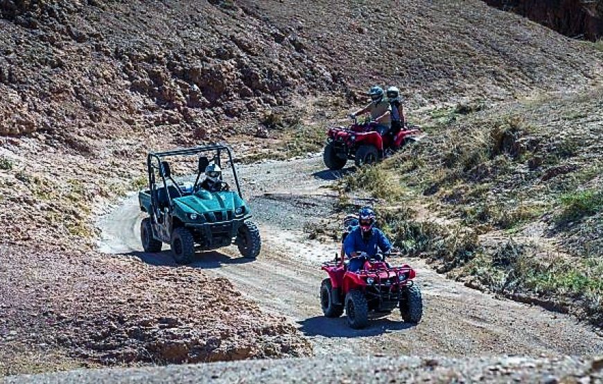 Wüstentour – Quad & Kamelritt