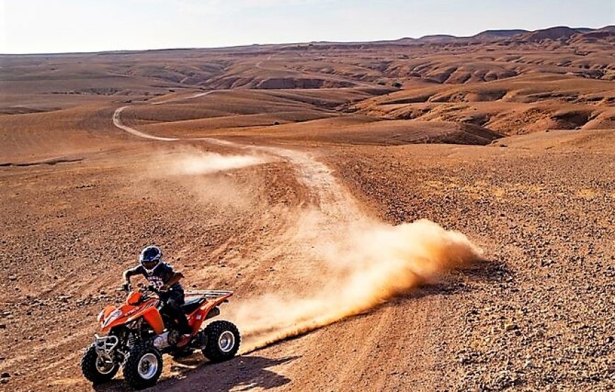 Wüstentour – Quad & Kamelritt