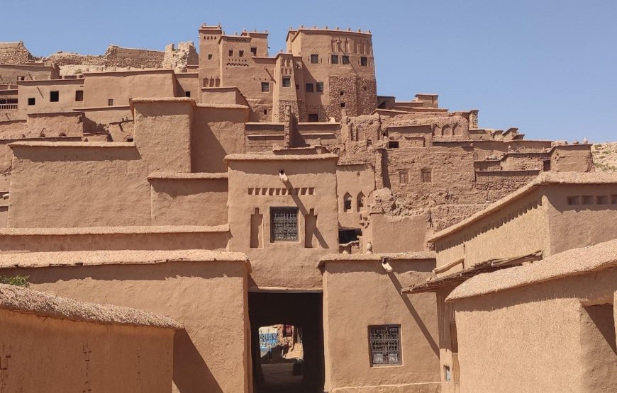 Die Stille der Sahara (Nr. WG-004)
