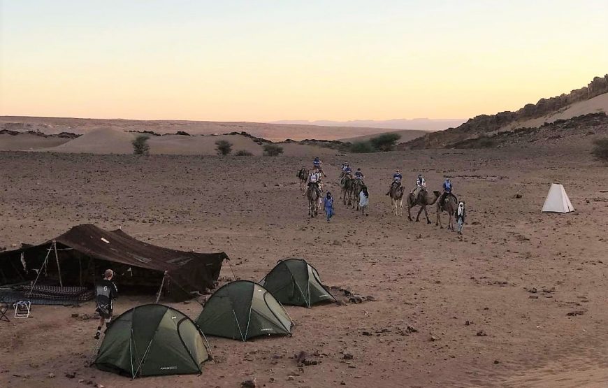 Die Stille der Sahara (Nr. WG-004)