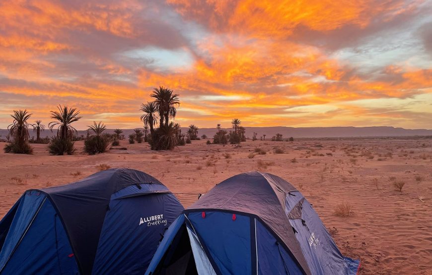 Die Stille der Sahara (Nr. WG-004)
