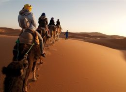 Wüste, Oasen und Kasbahs