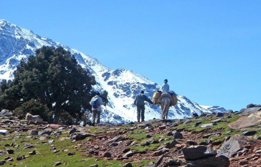 Toubkal Express (Nr. K-017)