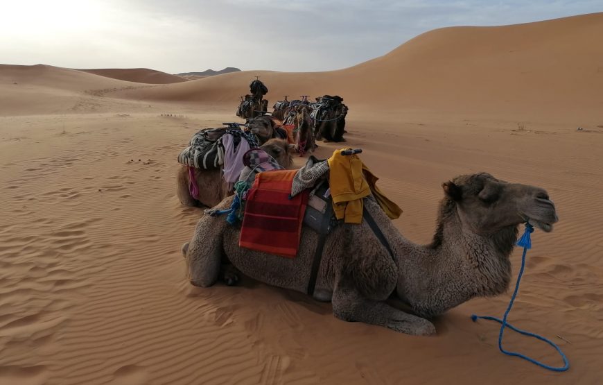 Abenteuer Wüste (3 Tage)