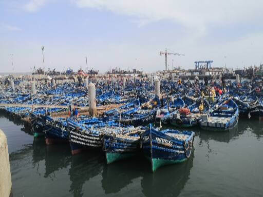 Tag 14: Essaouira