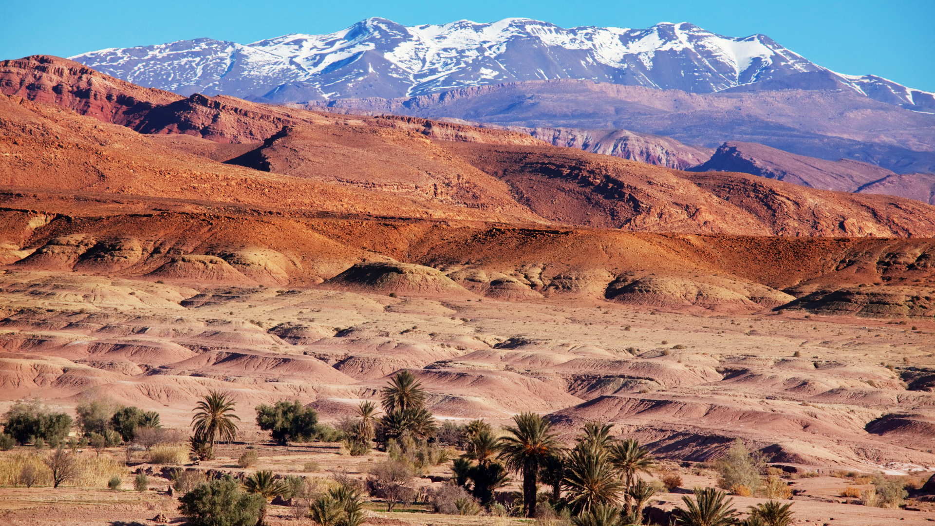 Tag 2 | Marrakesch – Taroudant über Ijoukak