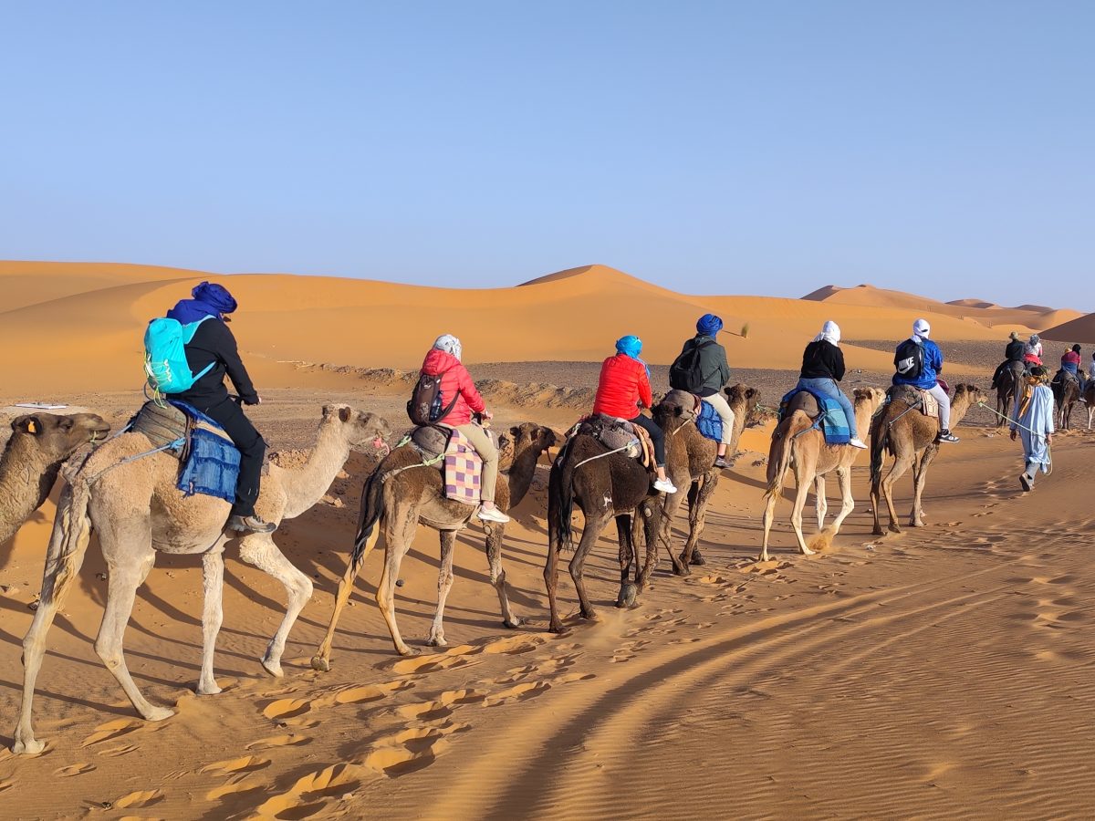 Reisen mit der Gruppe durch Marokko?