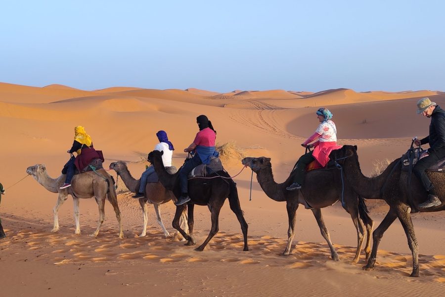 Die Stille der Sahara