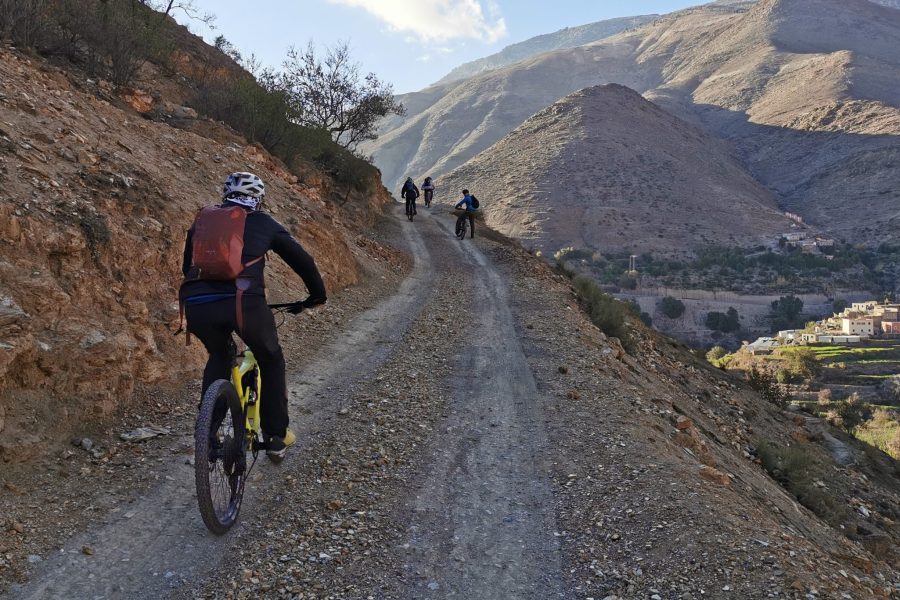 Berge, Wüsten und Oasen